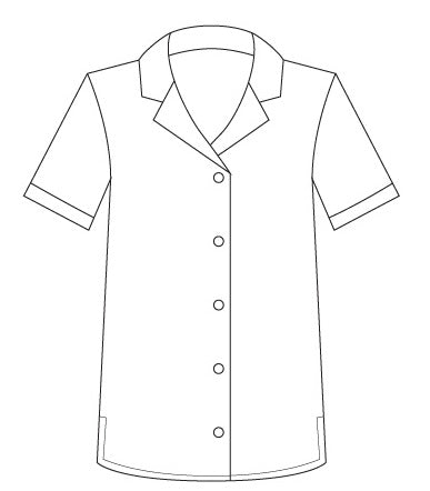 2166-BK-PNM BLU Ladies easy fit shirt